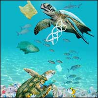 sea turtles artwork by Sushila Oliphant